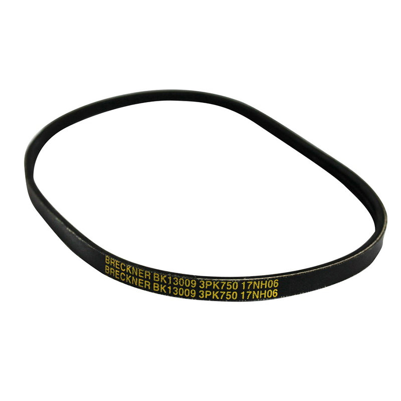 Alternator belt Dacia Logan, Sandero 1.2 16V 8200830183